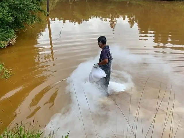 鱼塘消毒